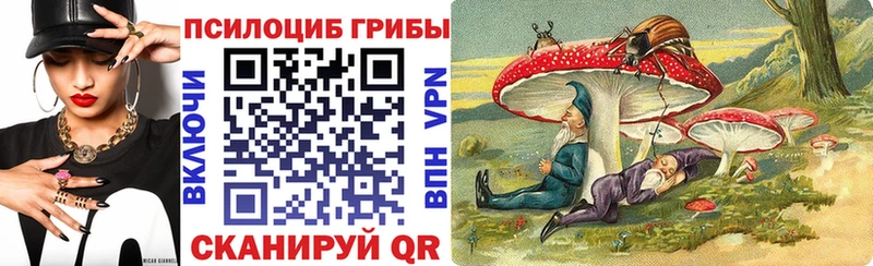 omg вход  где купить наркотик  Белинский  Псилоцибиновые грибы прущие грибы 